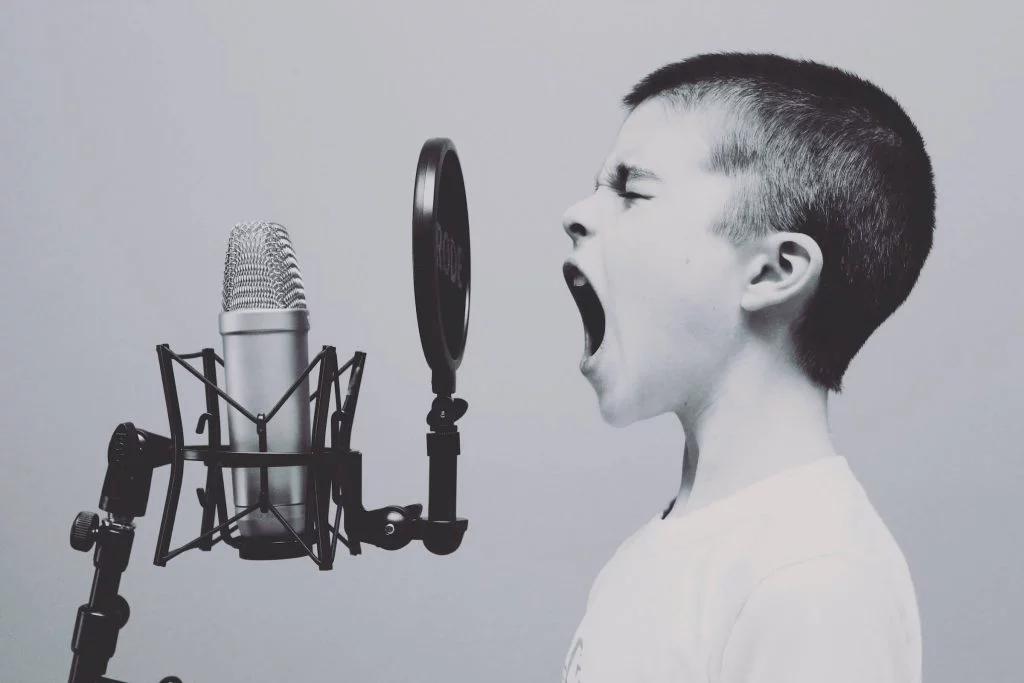 voiceover Services, Services