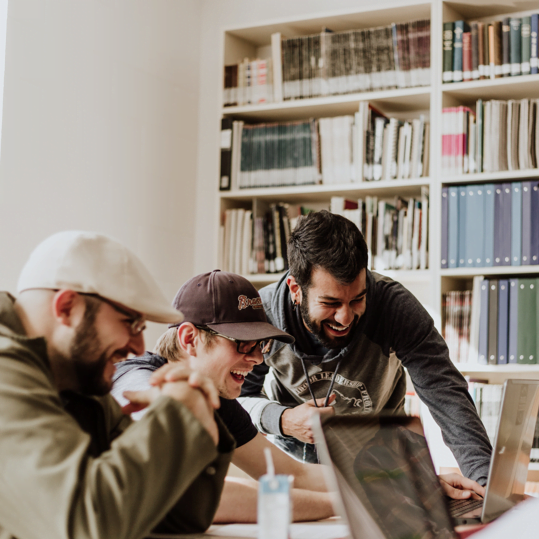 Voice-over artists, Artist