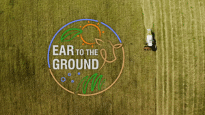 Bespoke Music Composition, ourwork